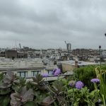 roof gardens
