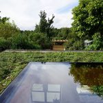 fixed flat roof window on green roof