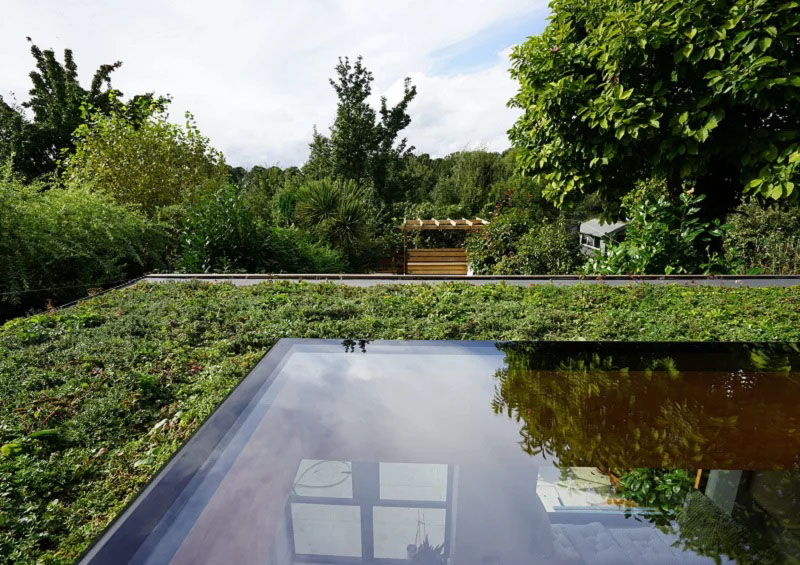 fixed flat roof window on green roof